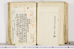 明い024020090007.jpg