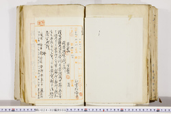 明い024020090010.jpg
