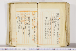 明い024020090022.jpg