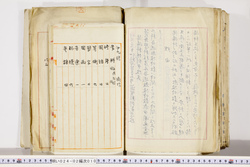 明い024020100005.jpg