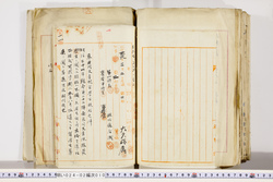 明い024020100006.jpg