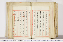 明い024020110006.jpg