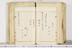 明い024020110008.jpg