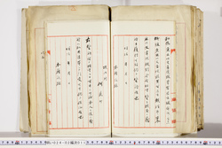 明い024020110016.jpg