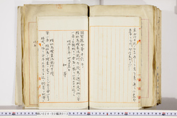 明い024020120002.jpg