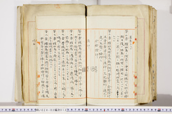 明い024020120003.jpg