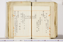 明い024020120006.jpg