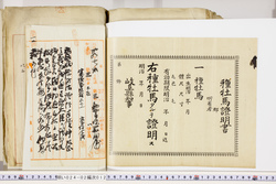 明い024020120009.jpg