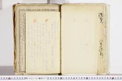 明い025010270011.jpg