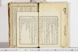 明い025010270021.jpg