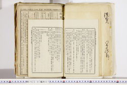 明い025010270025.jpg