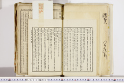 明い025010270028.jpg