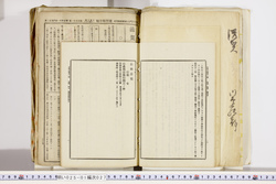 明い025010270029.jpg