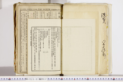 明い025010270030.jpg