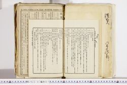 明い025010270032.jpg