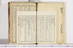 明い025010270033.jpg