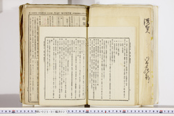 明い025010270034.jpg