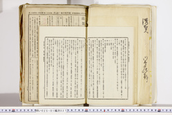 明い025010270035.jpg