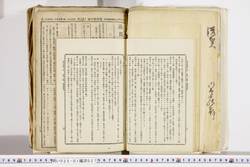 明い025010270036.jpg