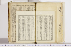 明い025010270040.jpg