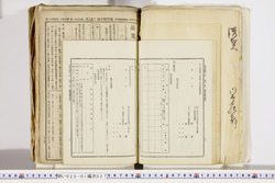 明い025010270045.jpg