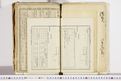 明い025010270046.jpg