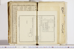 明い025010270048.jpg
