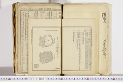 明い025010270057.jpg