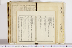 明い025010270066.jpg