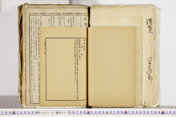 明い025010270076.jpg