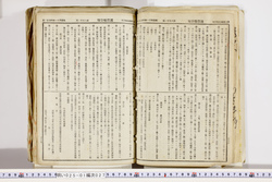 明い025010270080.jpg