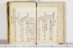 明い025010310002.jpg