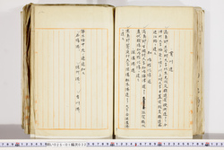 明い025010320011.jpg