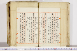 明い025010340006.jpg
