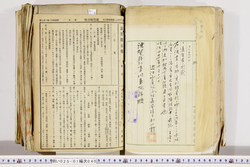明い025010400015.jpg
