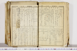 明い025010400016.jpg