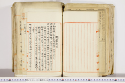 明い025010440009.jpg