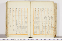 明い025010450007.jpg