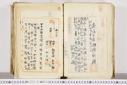 明い025010450059.jpg