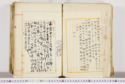 明い025010450066.jpg