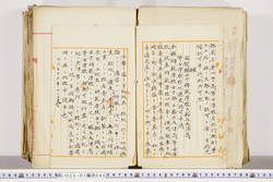 明い025010450071.jpg