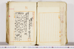 明い025010450073.jpg