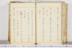 明い025020010012.jpg