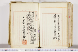 明い025020010021.jpg