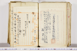 明い025020010022.jpg