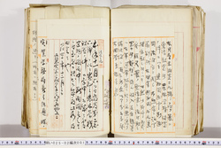 明い025020010023.jpg