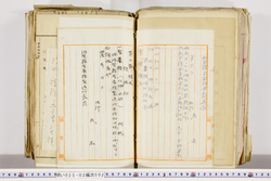 明い025020020008.jpg