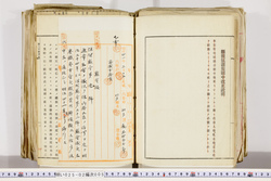 明い025020050004.jpg