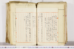 明い025020090005.jpg