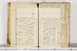 明い025020100003.jpg